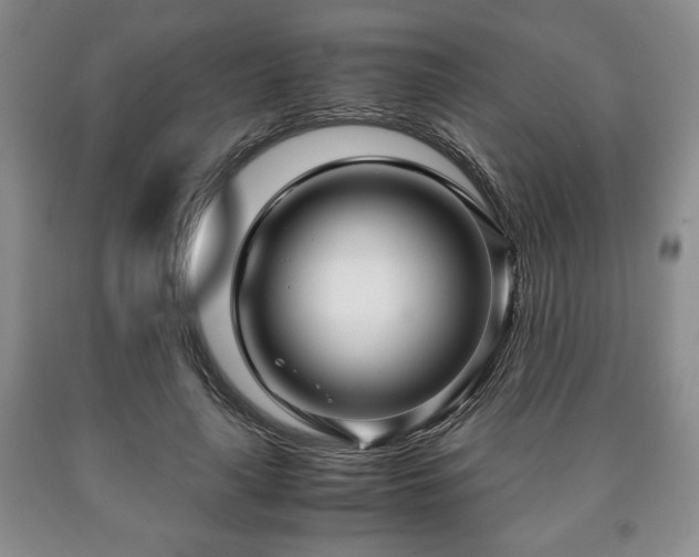 X0000090600643200707241044