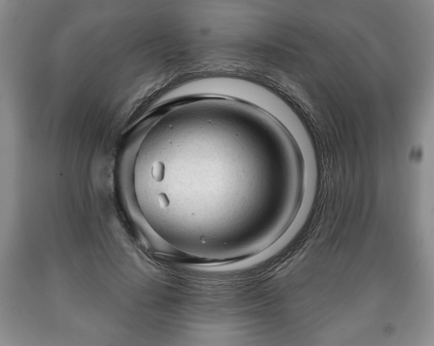 X0000090600644200707241044