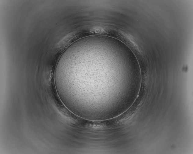 X0000090600645200707241044