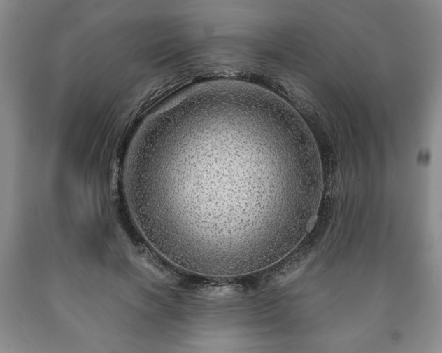 X0000090600646200707241045