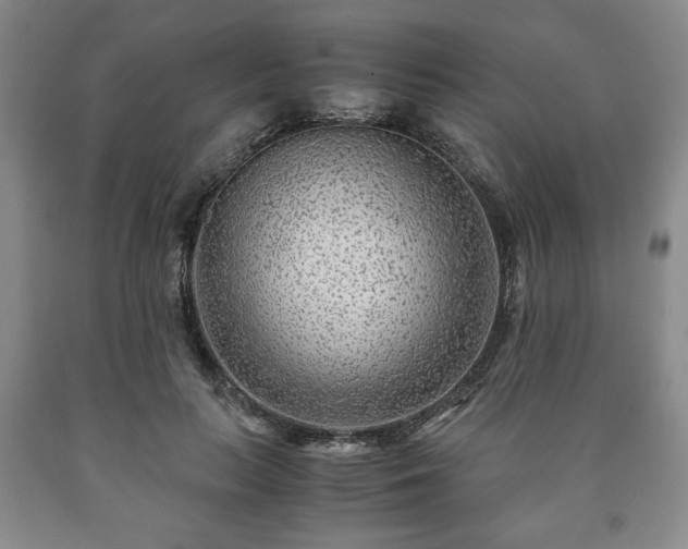 X0000090600647200707241045