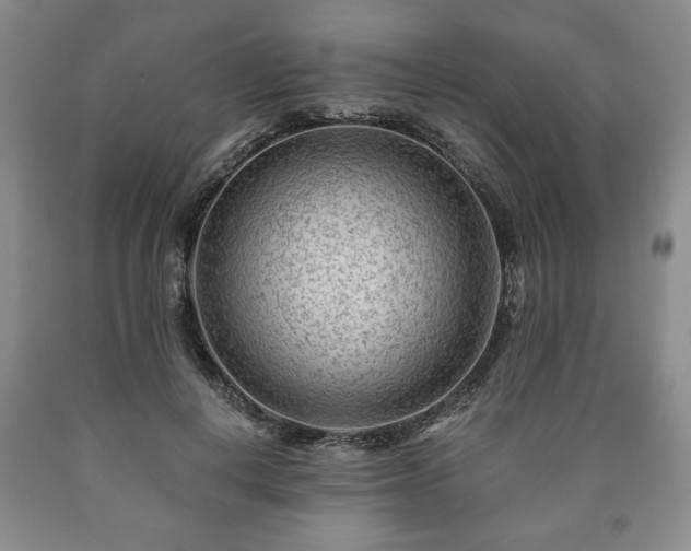 X0000090600648200707241045