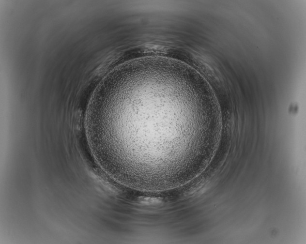 X0000090600649200707241045