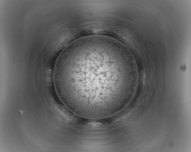 X0000090600650200707241045