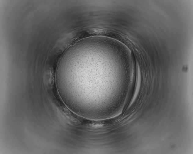 X0000090600651200707241045