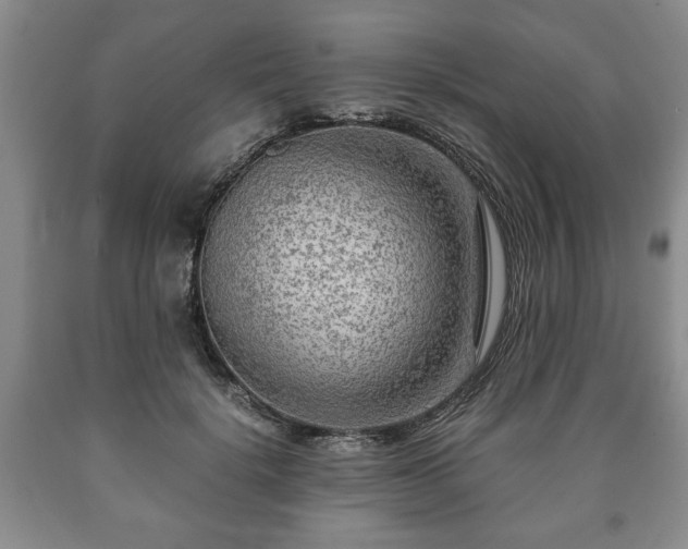 X0000090600652200707241045