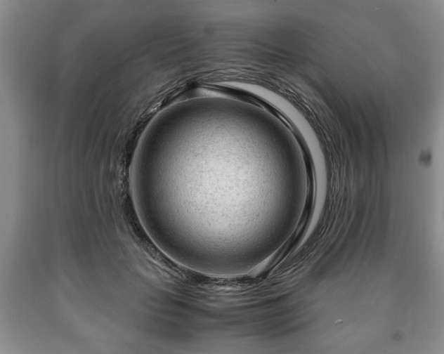 X0000090600653200707241045