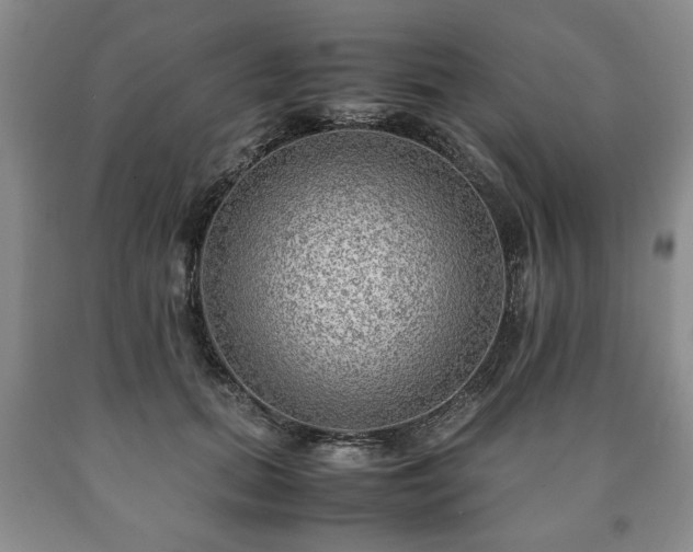 X0000090600655200707241045