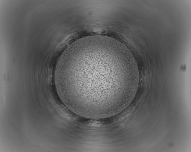 X0000090600656200707241045