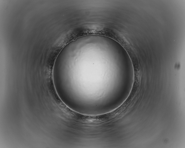 X0000090600657200707241045