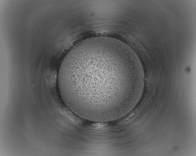 X0000090600660200707241045