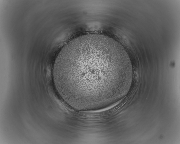 X0000090600662200707241045