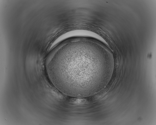 X0000090600663200707241045