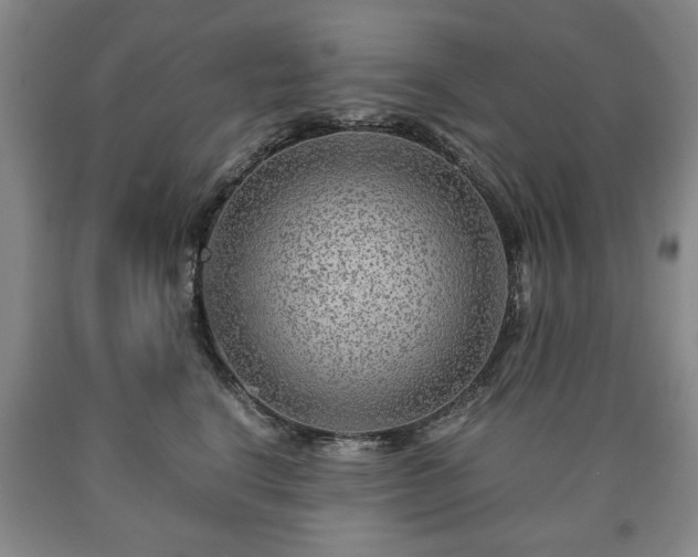 X0000090600664200707241045