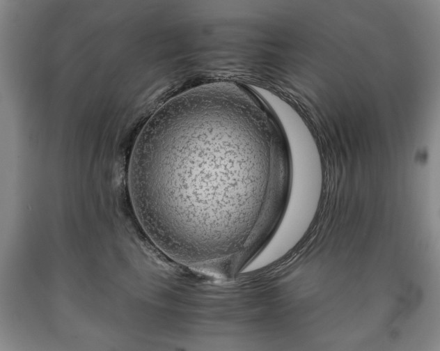 X0000090600665200707241045