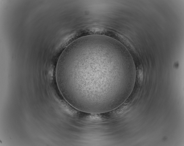 X0000090600668200707241045