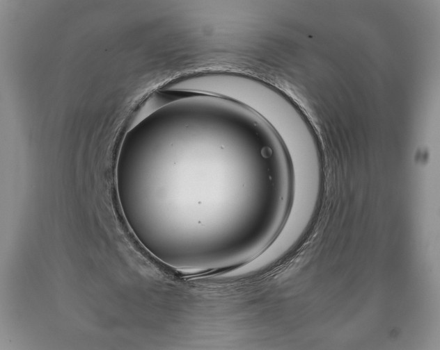 X0000090600673200707241044