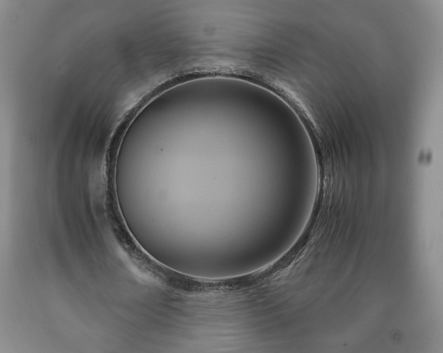 X0000090600674200707241044