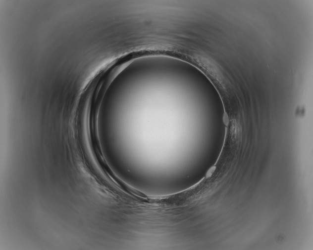 X0000090600676200707241044