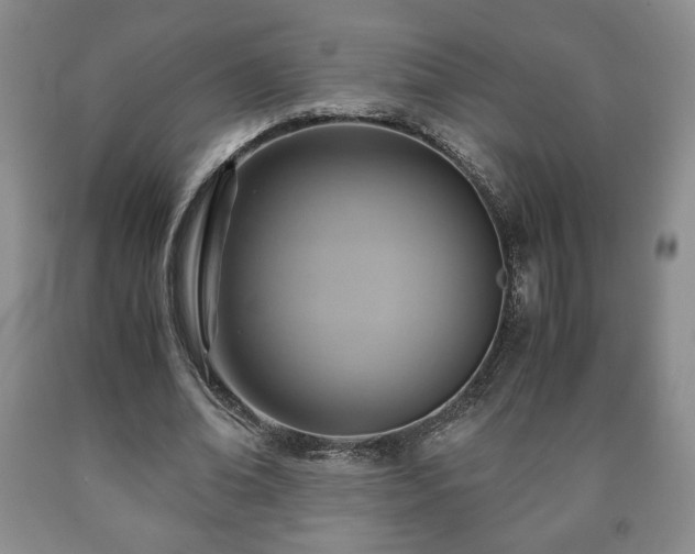 X0000090600678200707241044