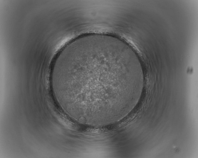 X0000090600679200707241044