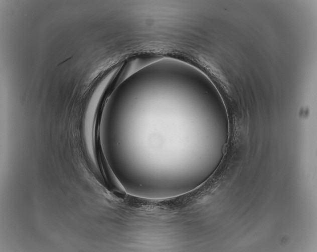 X0000090600681200707241044