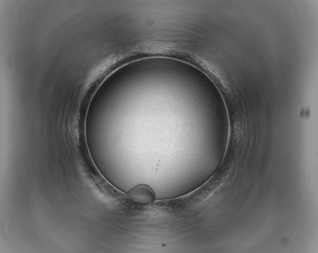 X0000090600682200707241044