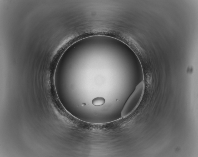 X0000090600684200707241044