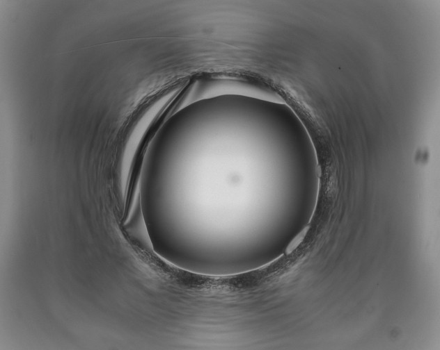 X0000090600685200707241044