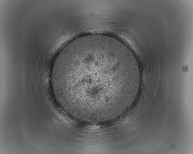 X0000090600687200707241044