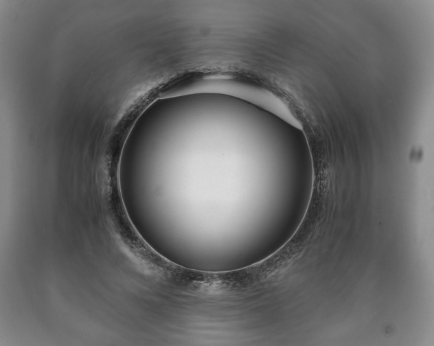 X0000090600688200707241044