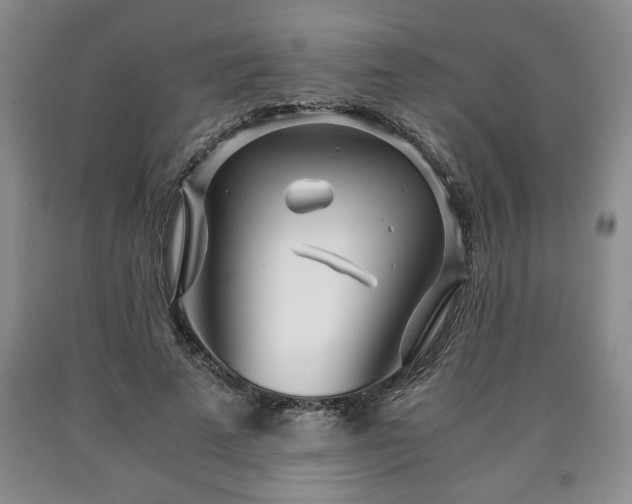 X0000090600689200707241044