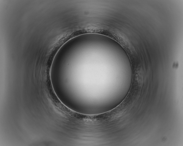 X0000090600690200707241044