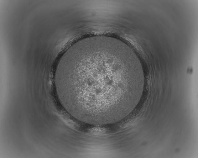 X0000090600691200707241044