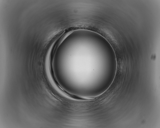 X0000090600692200707241044