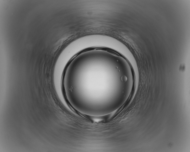 X0000090600693200707241044