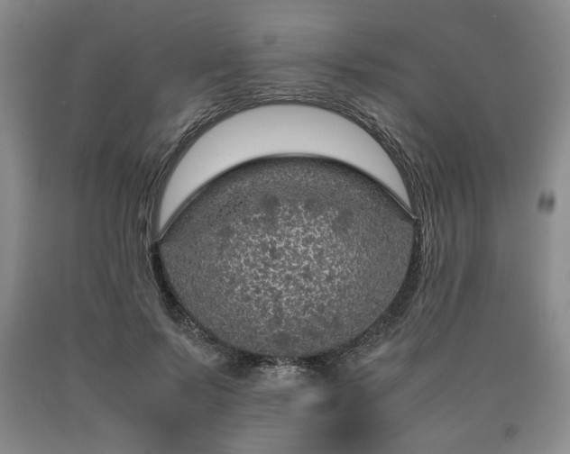 X0000090600695200707241044