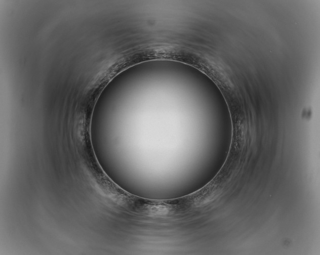 X0000090600698200707241044