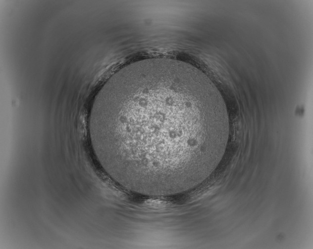 X0000090600699200707241044