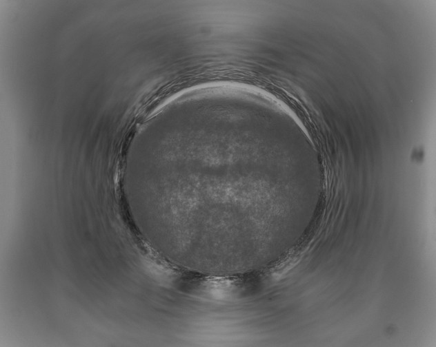 X0000090600701200707241044