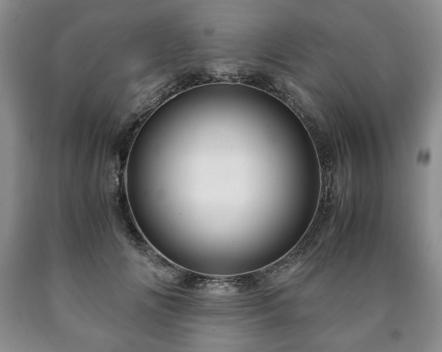 X0000090600702200707241044