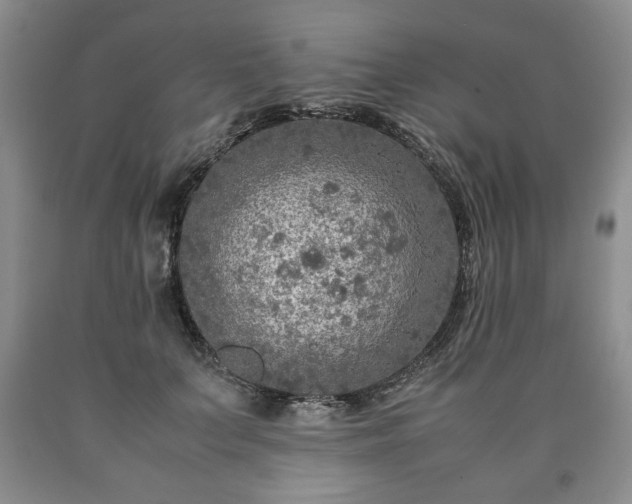 X0000090600703200707241044