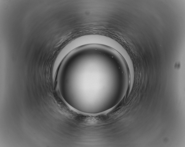 X0000090600704200707241044