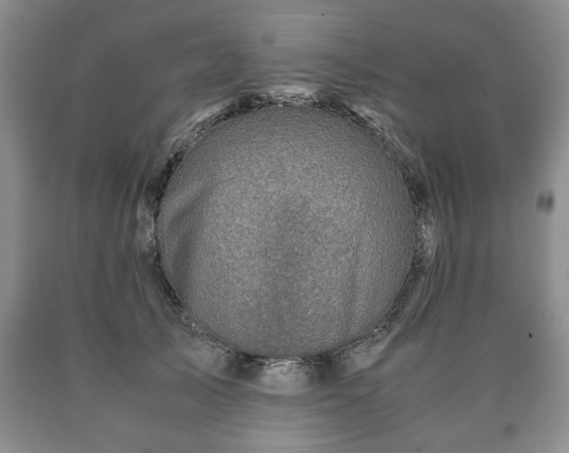 X0000090600705200707241044