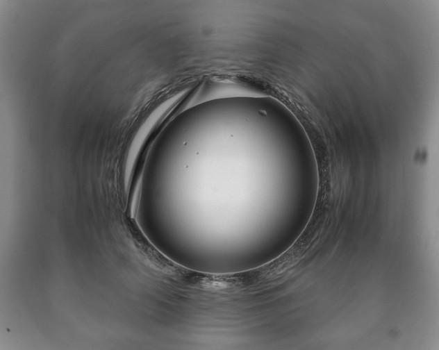 X0000090600706200707241044