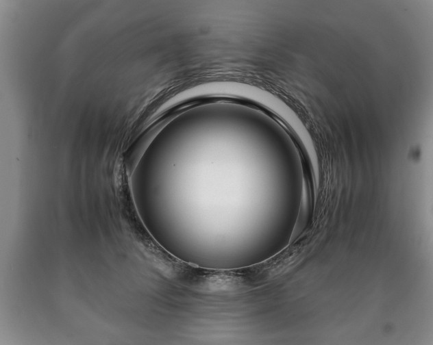 X0000090600708200707241044