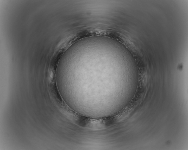 X0000090600709200707241044