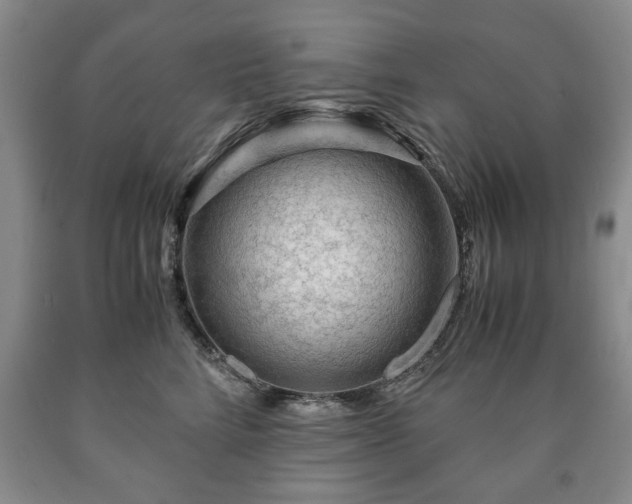 X0000090600712200707241044