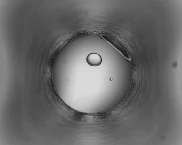 X0000090600713200707241044