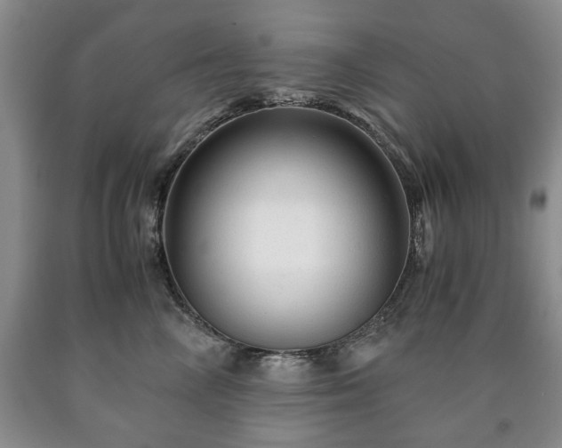 X0000090600714200707241044